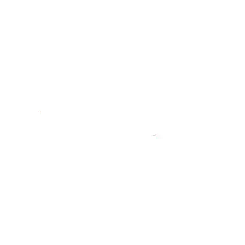aprilia